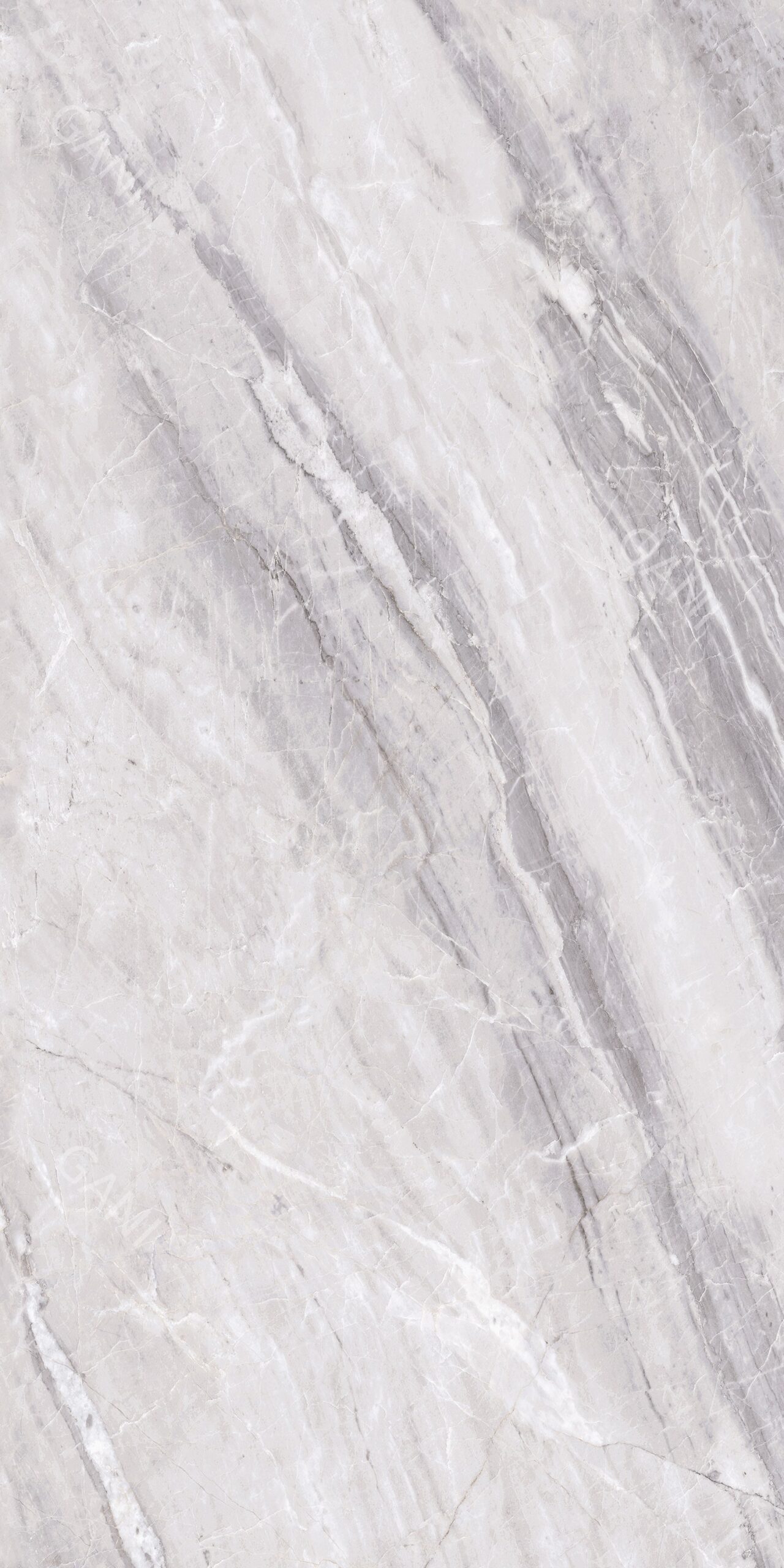 Assinis Grey