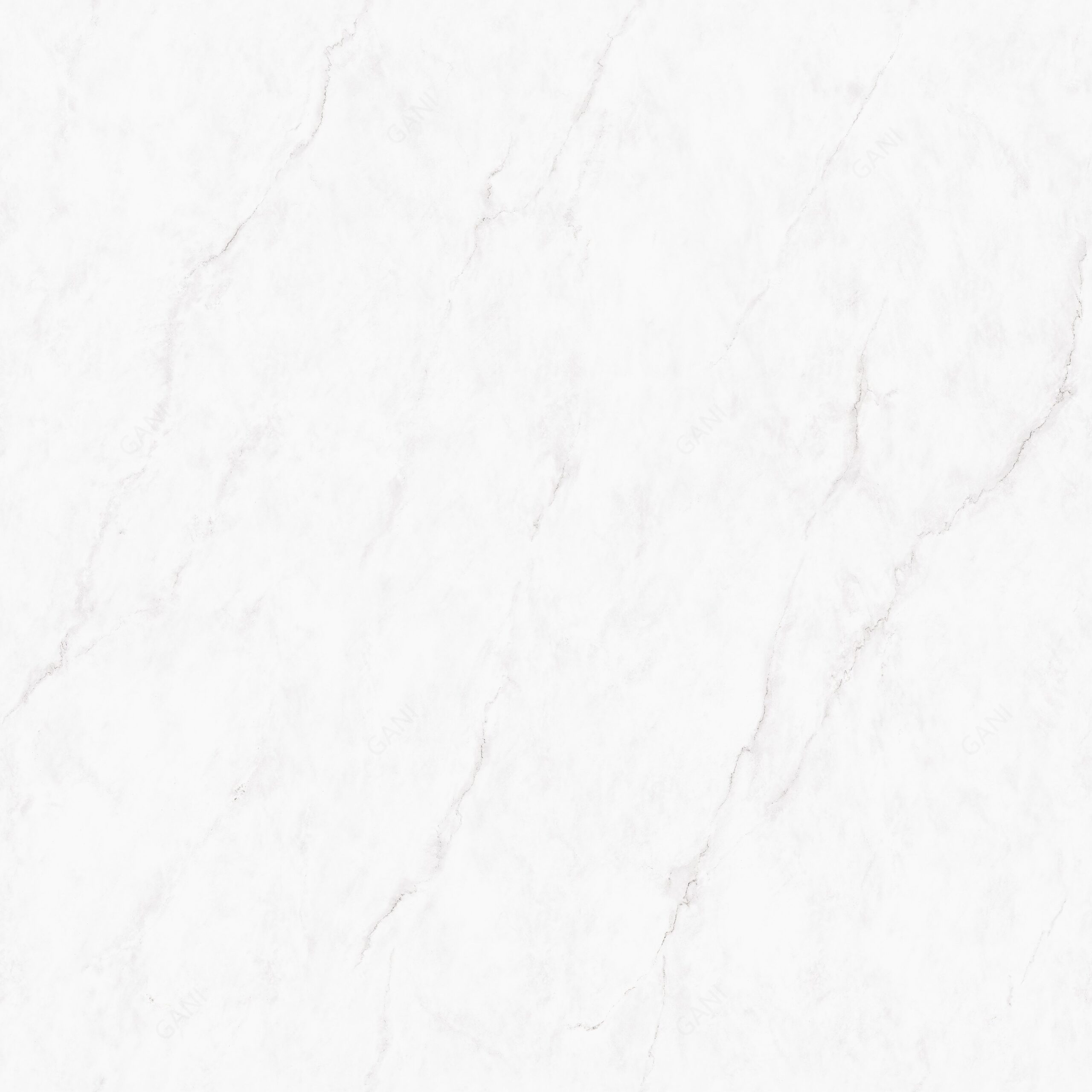 Bianco Lincoln