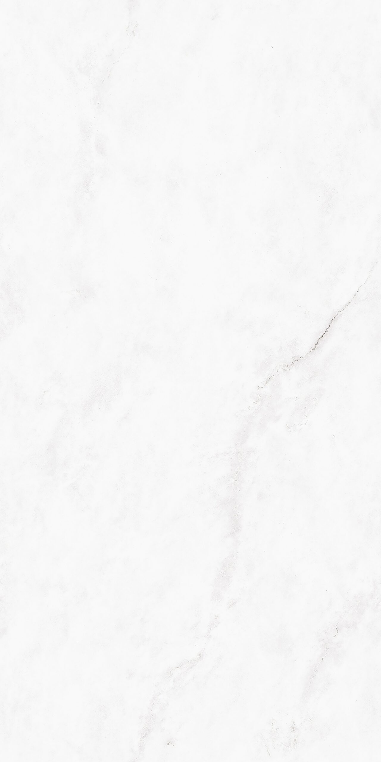 Bianco Lincoln
