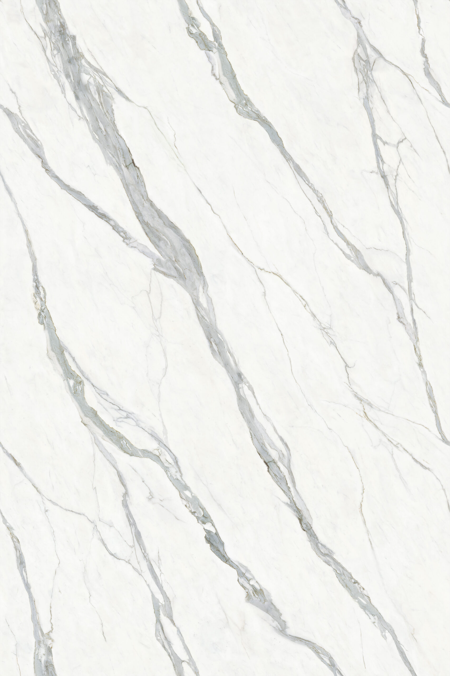 Bianco Venato