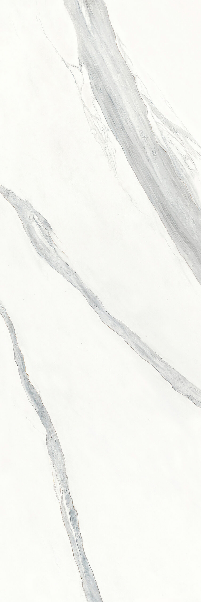 Bianco Venato