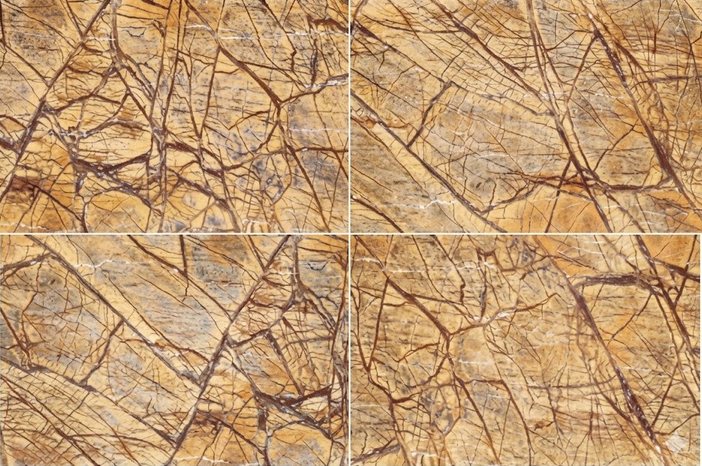 Rainforest Brown