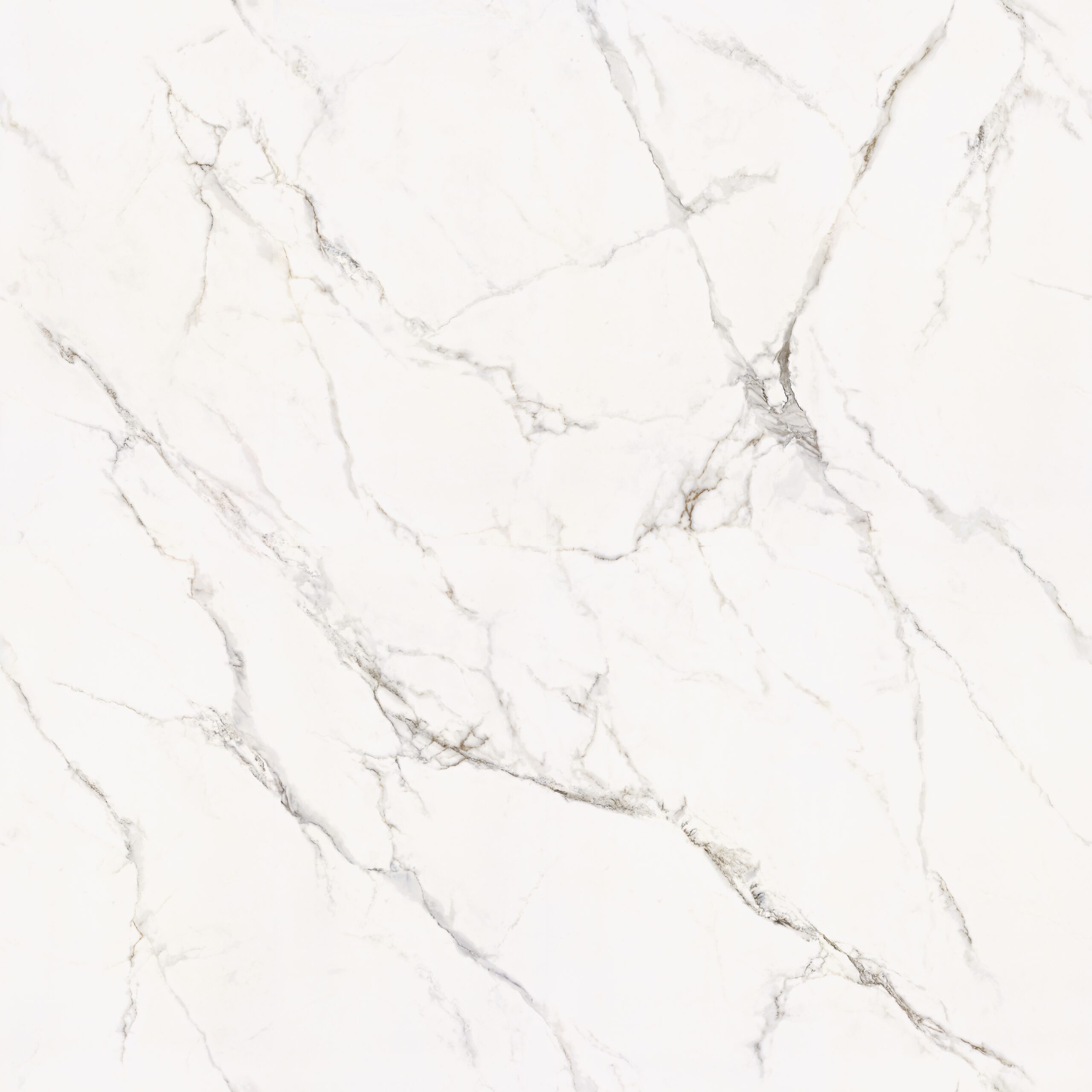Olympia White