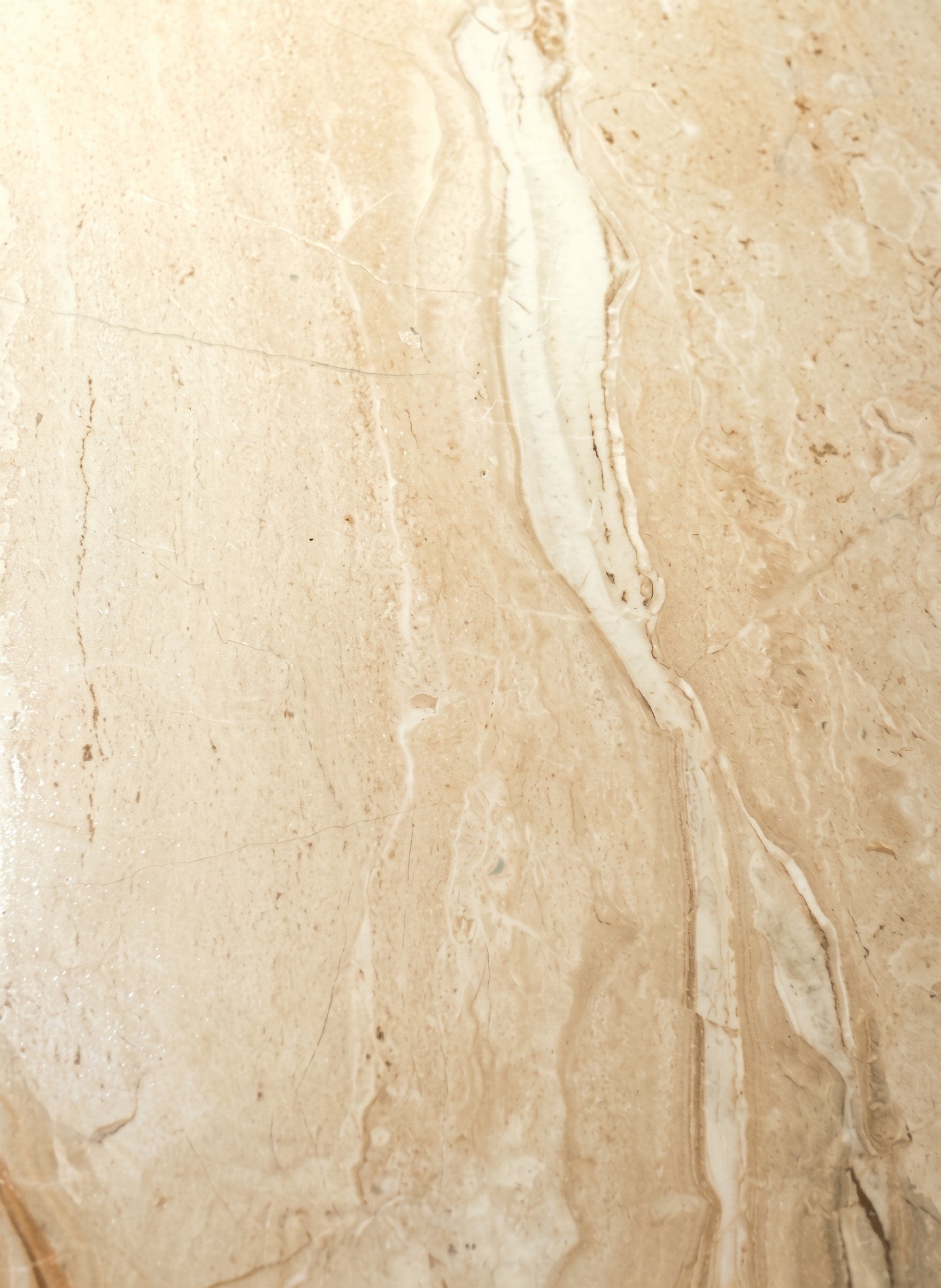 Dino Beige