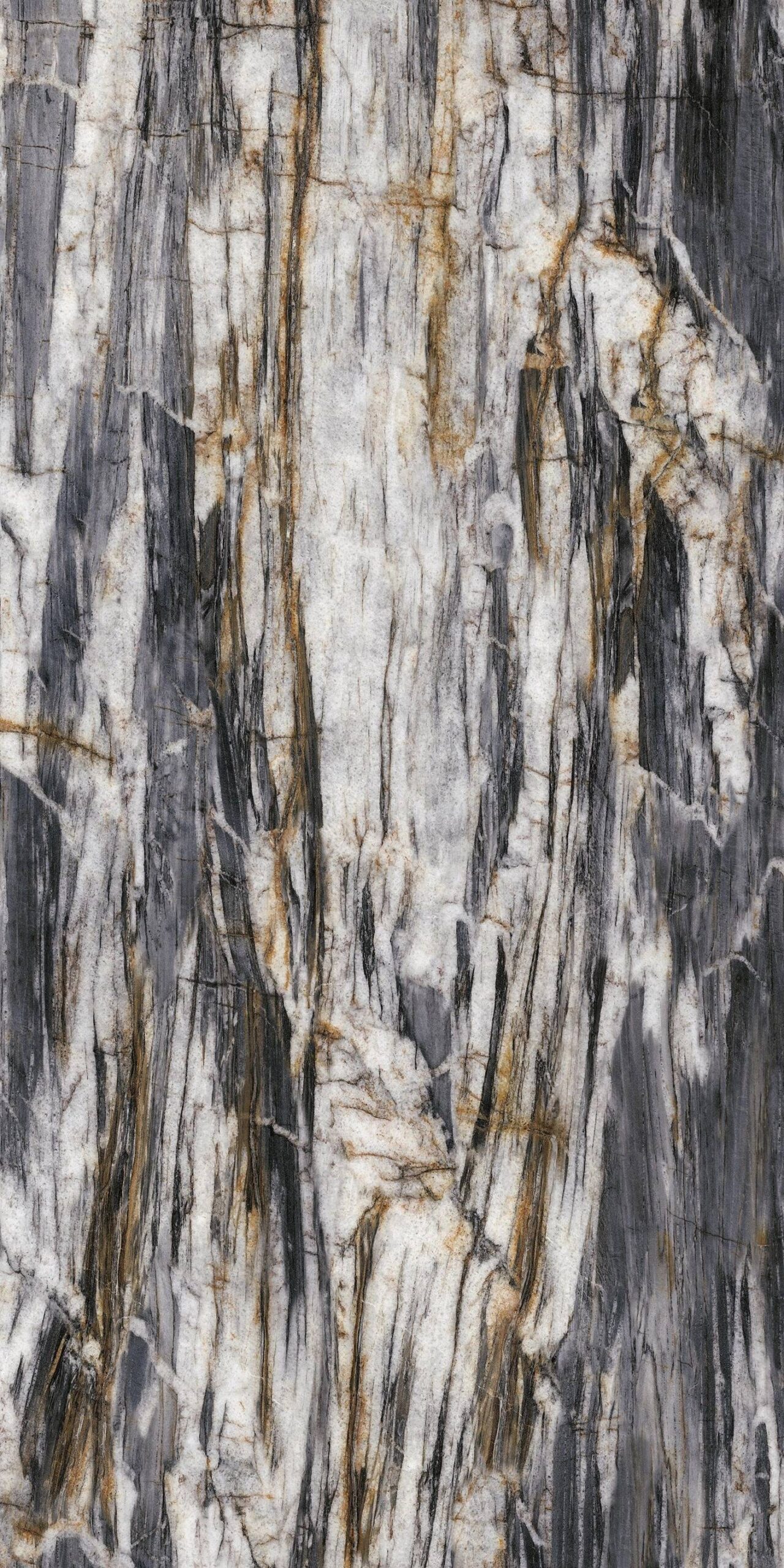 Golden Midnight (Translucent)
